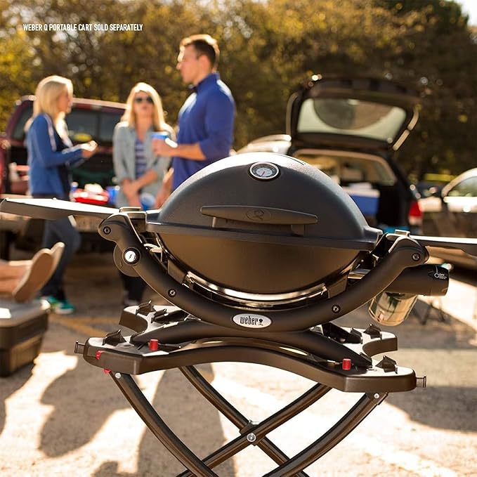 best portable gas grill in 2025